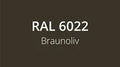 RAL 6022 Braunoliv: Anwendungsbeispiel